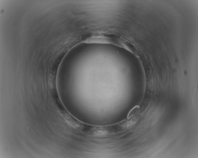 X0000062610658200512211138