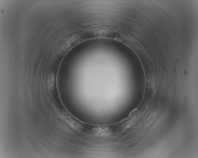 X0000062610660200512211138