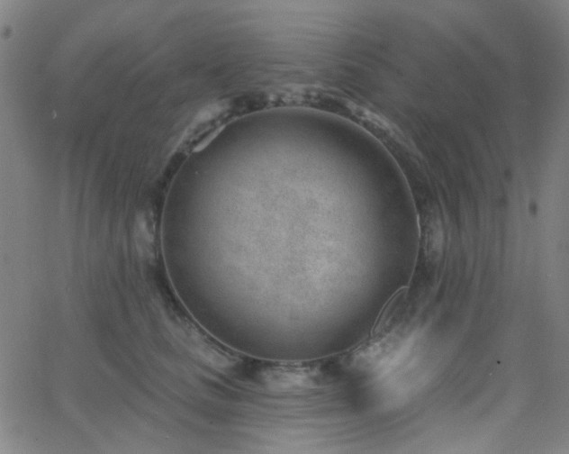 X0000062610661200512211138