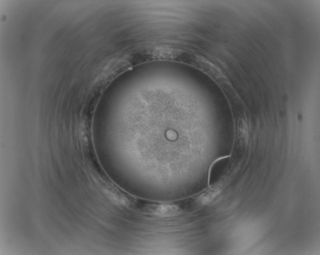 X0000062610663200512211138