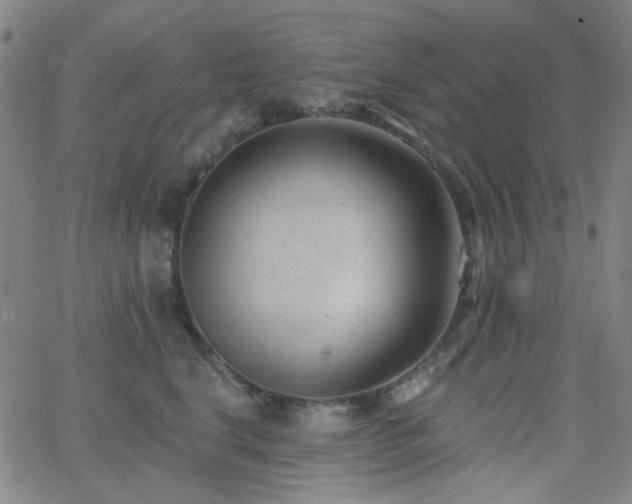 X0000062610664200512211138