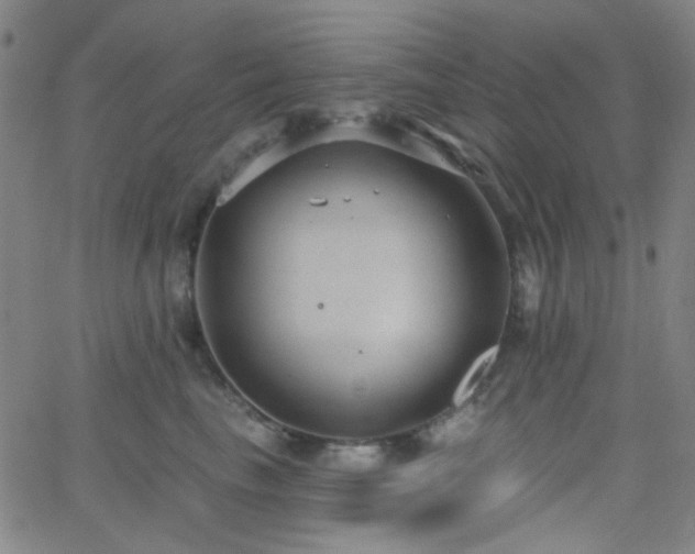 X0000062610665200512211138