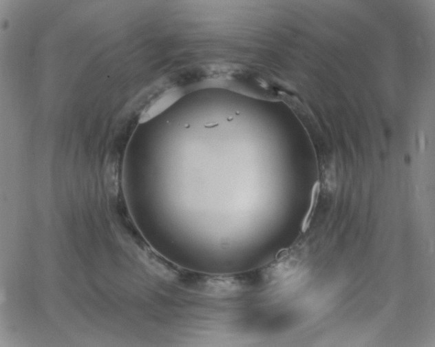 X0000062610666200512211138