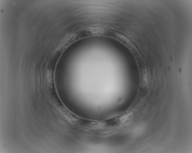 X0000062610667200512211138