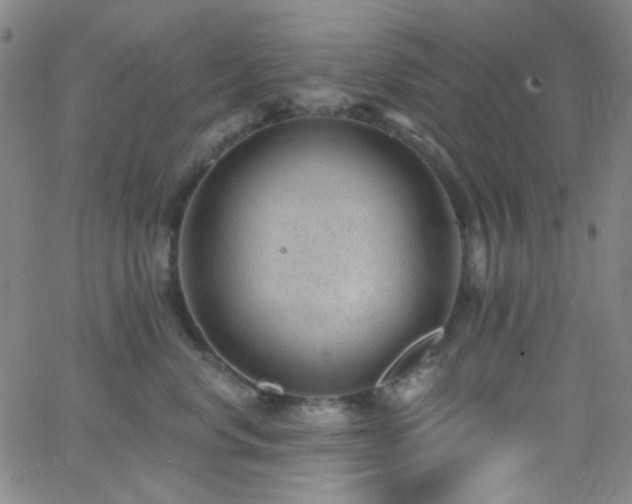 X0000062610668200512211138