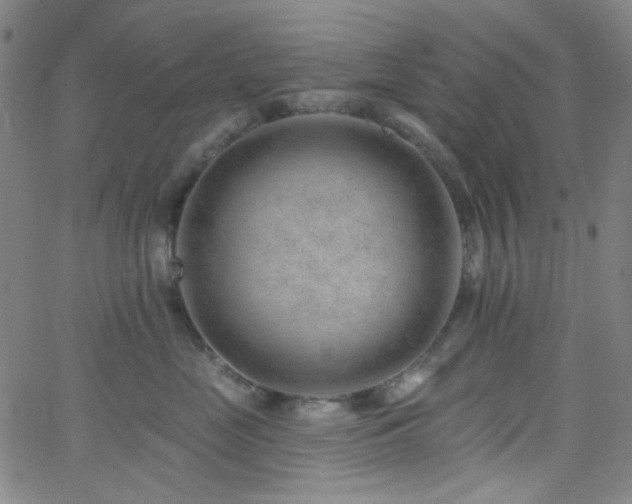 X0000062610669200512211138