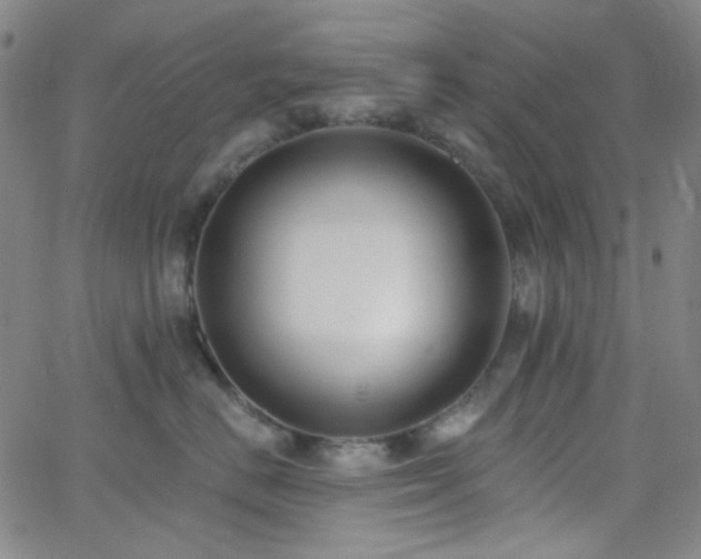 X0000062610670200512211138