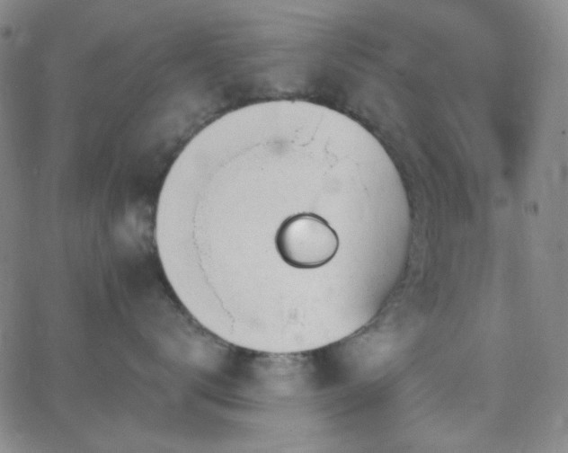 X0000062610672200512211138