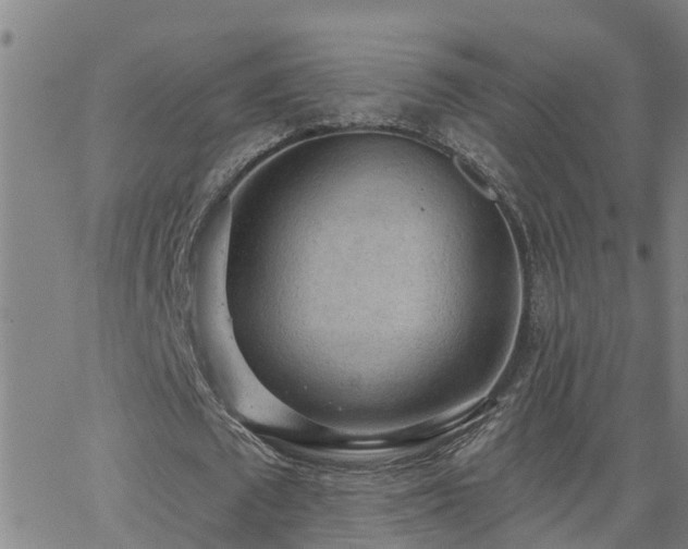 X0000062610673200512211137