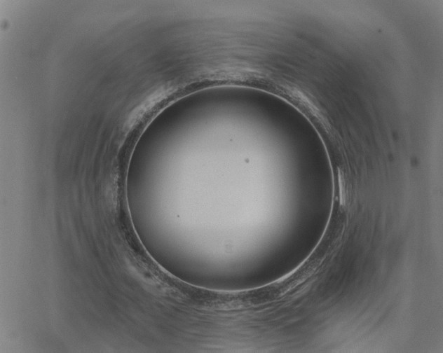 X0000062610675200512211137