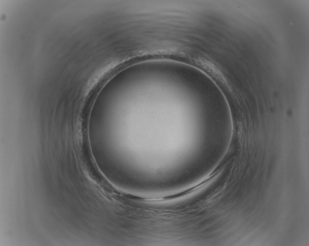 X0000062610676200512211137