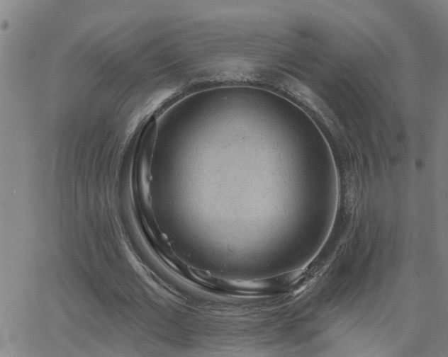 X0000062610677200512211137