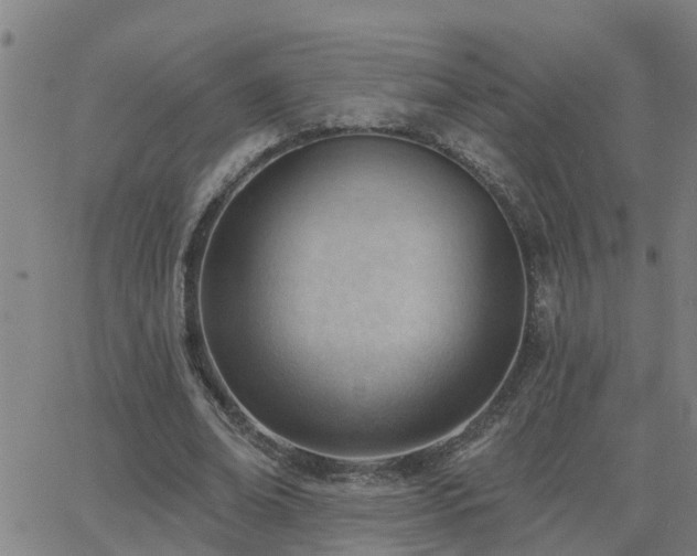 X0000062610678200512211137