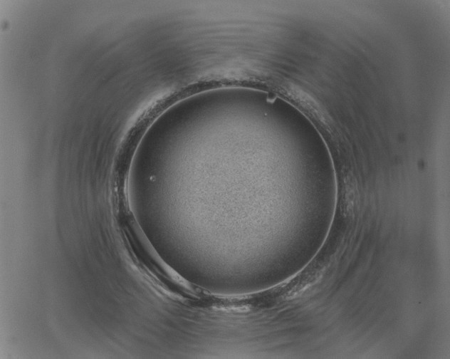 X0000062610680200512211137