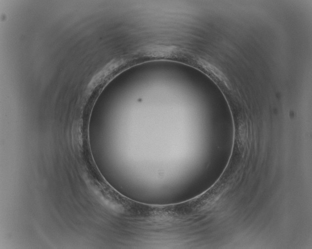 X0000062610682200512211137