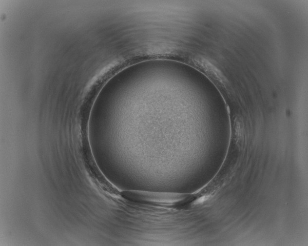 X0000062610684200512211137