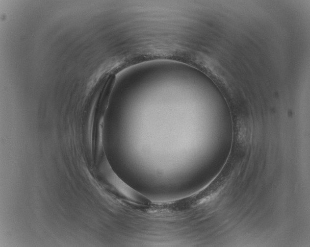 X0000062610685200512211137