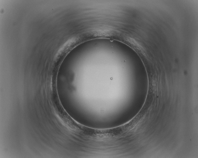 X0000062610686200512211137