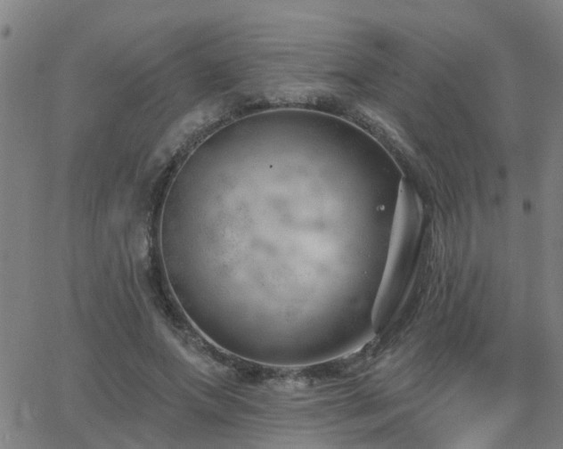 X0000062610687200512211137