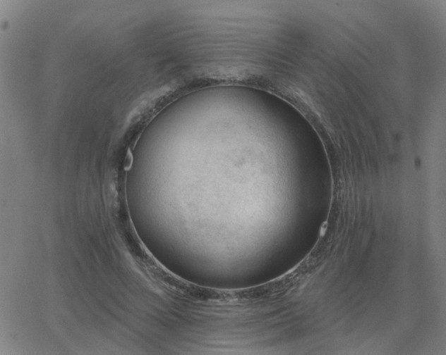 X0000062610688200512211137