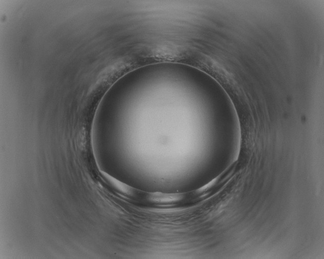 X0000062610689200512211137