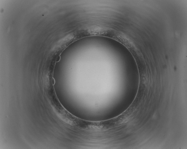 X0000062610690200512211137