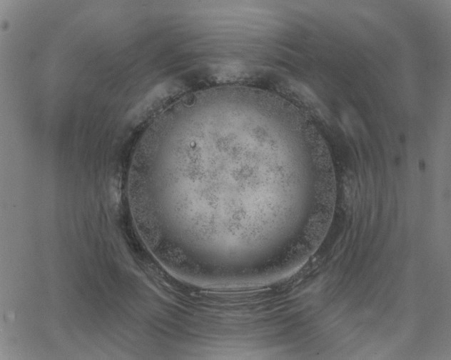 X0000062610691200512211137