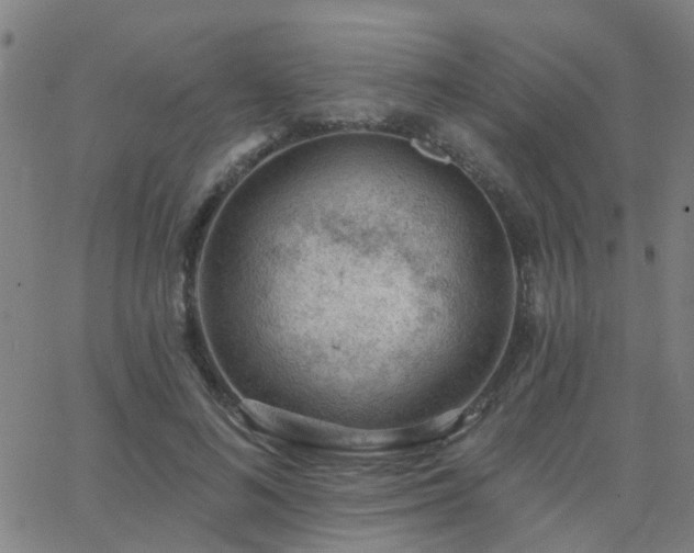 X0000062610692200512211137