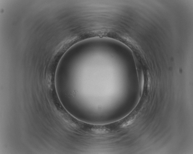 X0000062610693200512211137