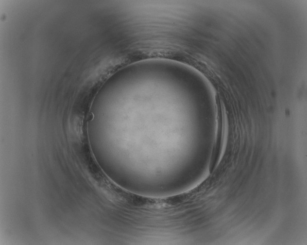 X0000062610695200512211137