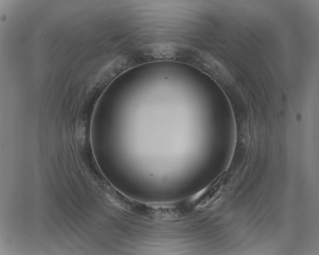 X0000062610697200512211137