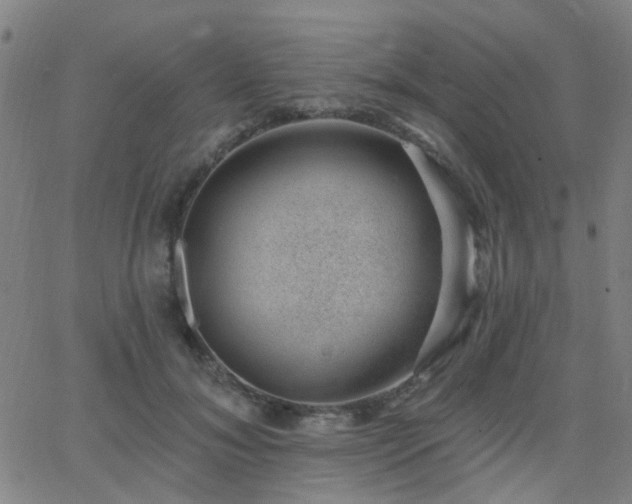 X0000062610700200512211137