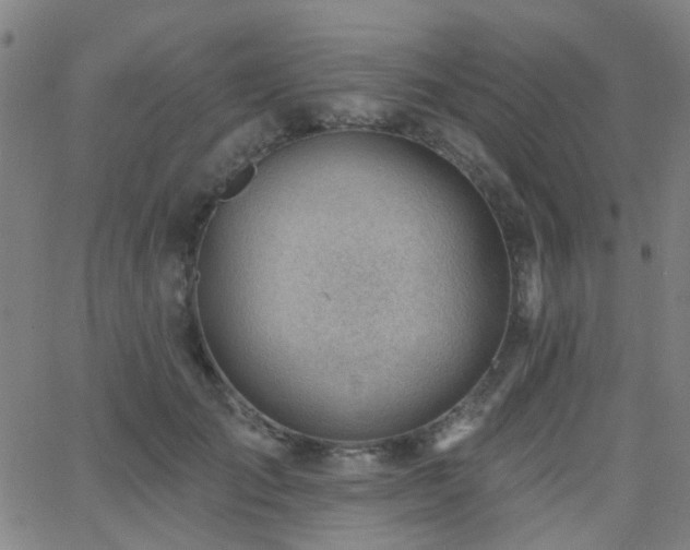 X0000062610701200512211137