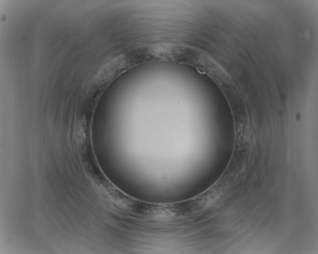 X0000062610702200512211137