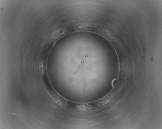 X0000062610703200512211137