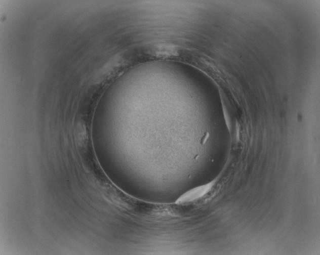 X0000062610704200512211137