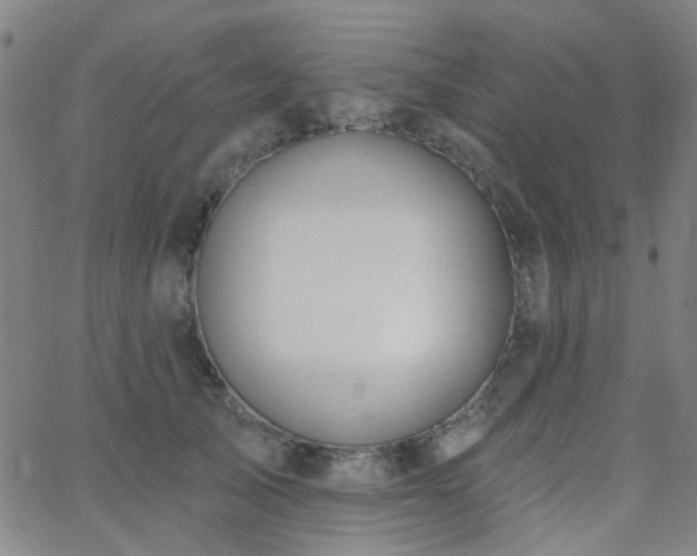 X0000062610705200512211137