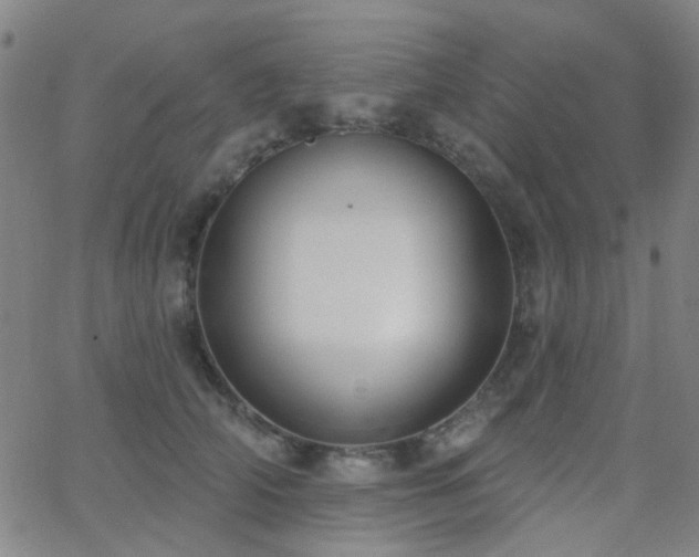 X0000062610706200512211137