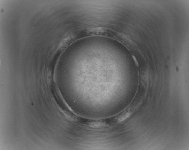 X0000062610708200512211137