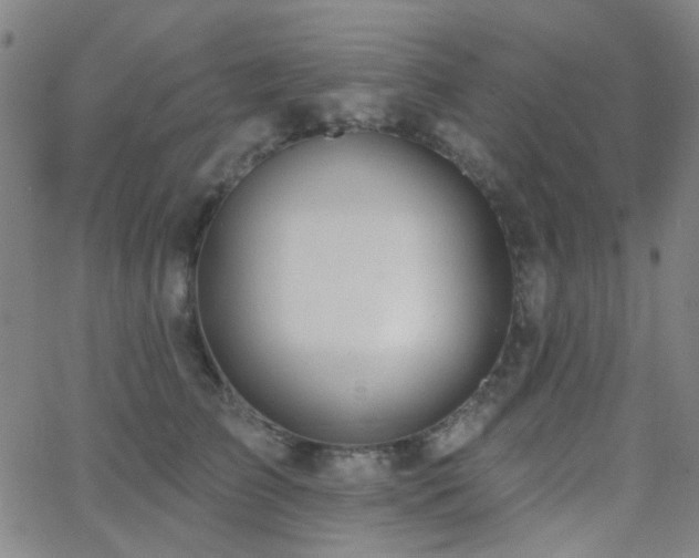 X0000062610709200512211137