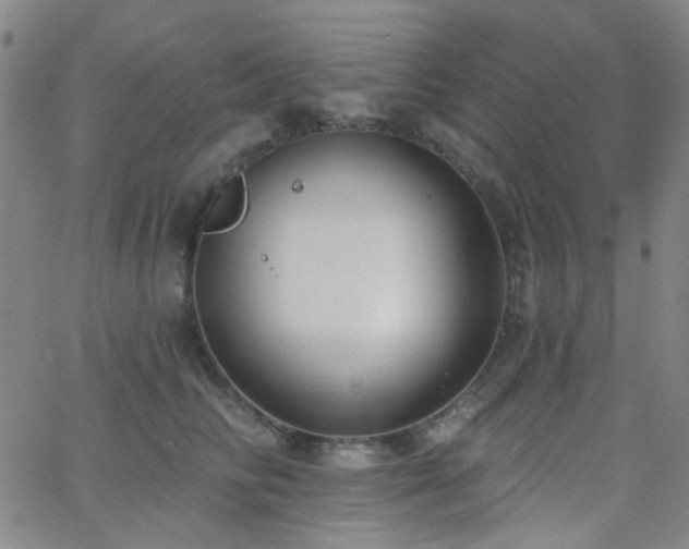 X0000062610710200512211137