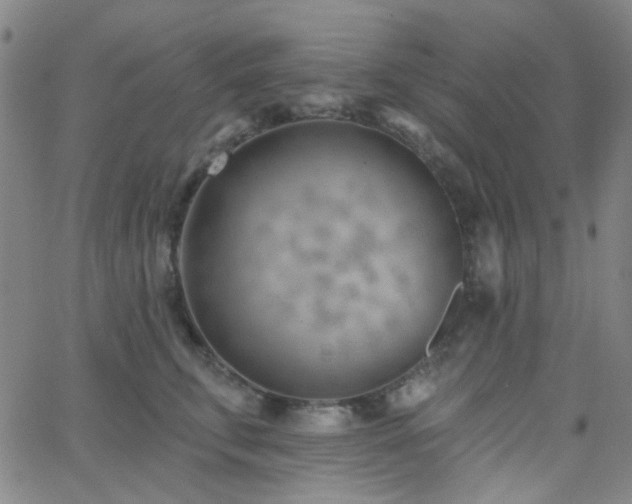 X0000062610711200512211137