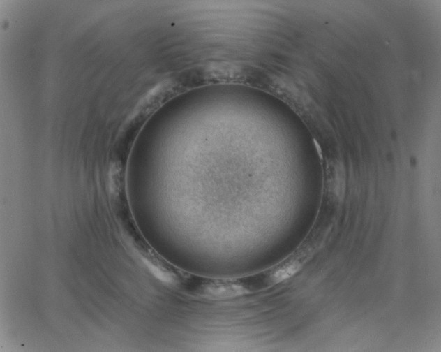 X0000062610712200512211137