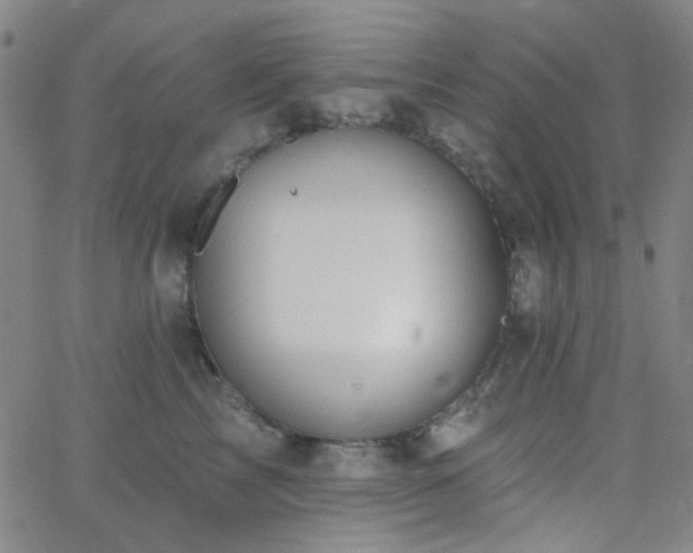 X0000062610713200512211137