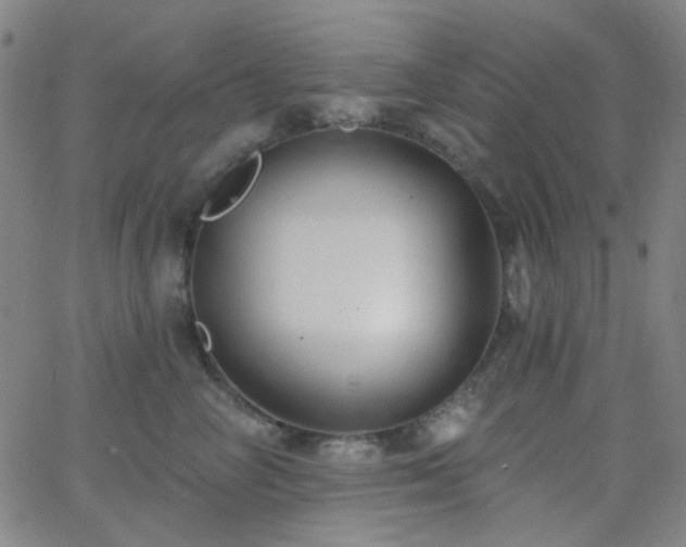 X0000062610714200512211137