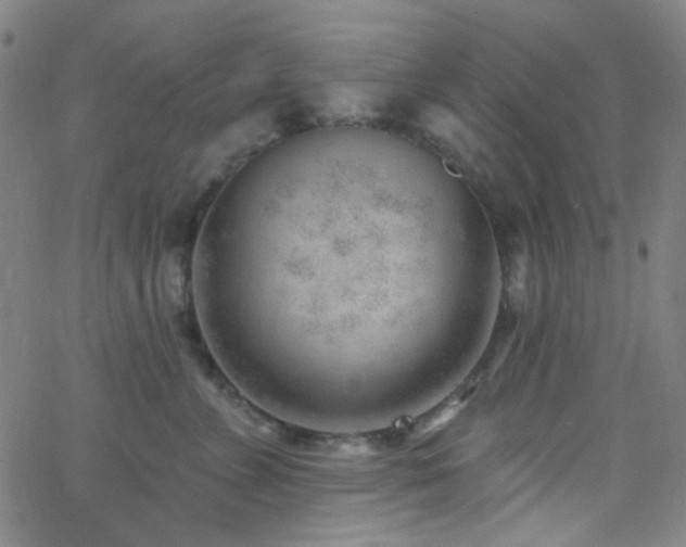 X0000062610715200512211137