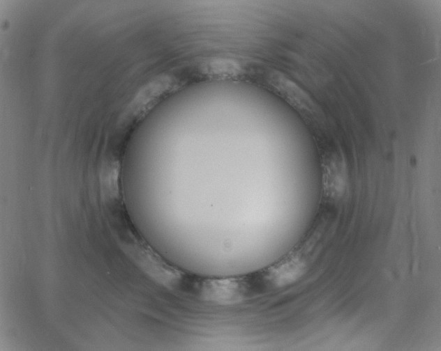 X0000062610717200512211137