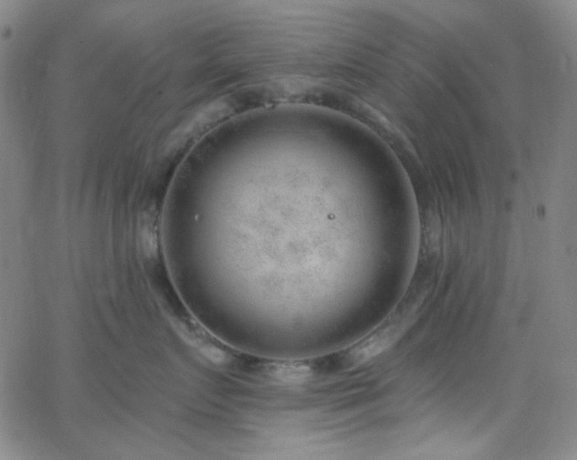 X0000062610719200512211137