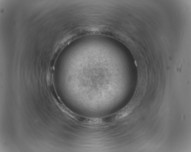 X0000062610720200512211137