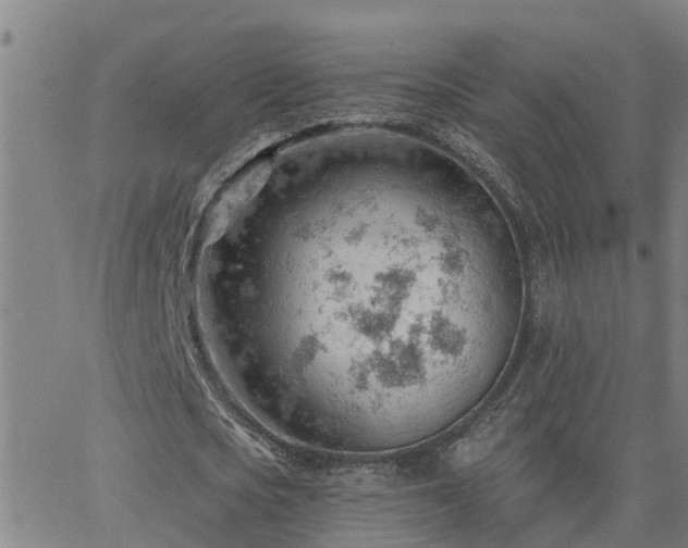 X0000062610721200512211136